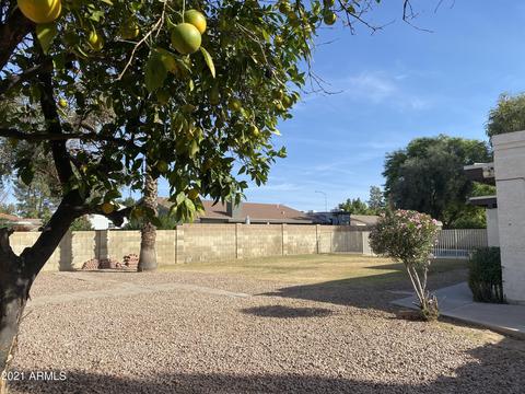 2244 E Jensen St, Mesa, AZ 85213 photo 39