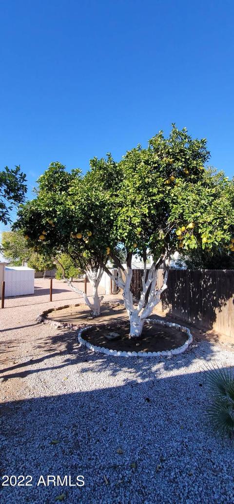 8638 E Delilah Ave, Mesa, AZ 85208 photo 6