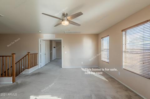 116 E Milada Dr, Phoenix, AZ 85042 photo 17