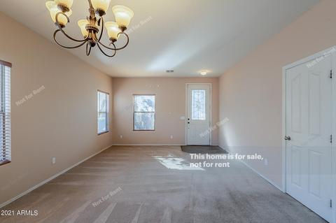 116 E Milada Dr, Phoenix, AZ 85042 photo 13