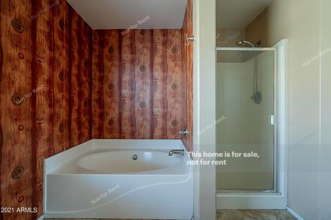 116 E Milada Dr, Phoenix, AZ 85042 photo 25