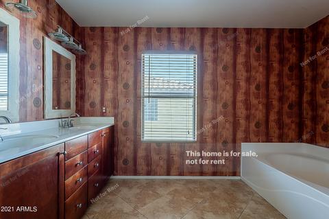 116 E Milada Dr, Phoenix, AZ 85042 photo 23
