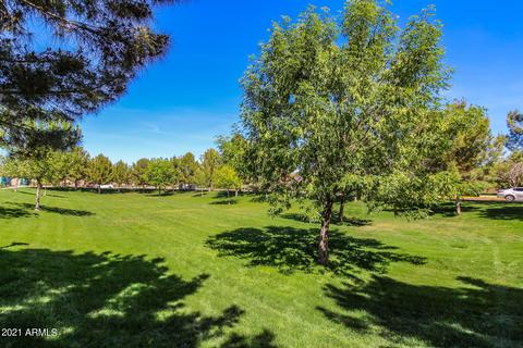 903 S Wallrade Ln, Gilbert, AZ 85296 photo 49