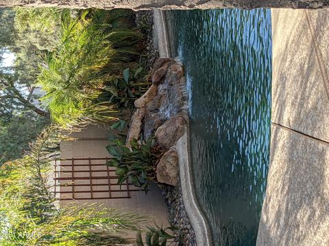 5003 E Shomi St, Phoenix, AZ 85044 photo 19