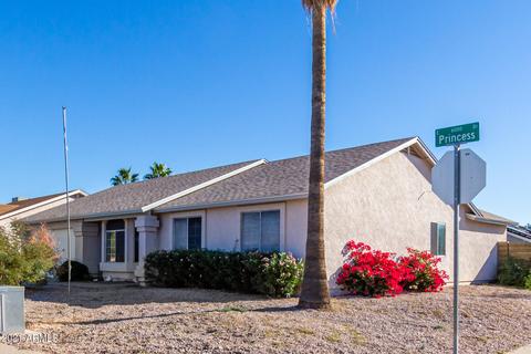 6053 E Princess Dr, Mesa, AZ 85205 photo 8