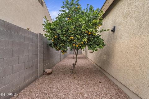4469 S Cobblestone St, Gilbert, AZ 85297 photo 24