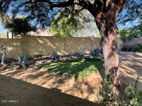 2335 E Betty Elyse Ln, Phoenix, AZ 85022 photo 3