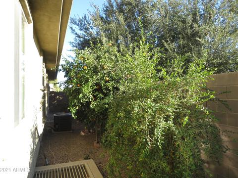 987 E Lodgepole Dr, Gilbert, AZ 85298 photo 19