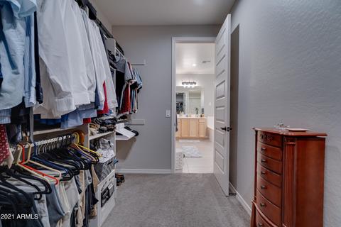 4209 E Cynthia St, Gilbert, AZ 85295 photo 67