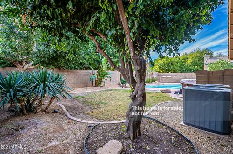 891 E Constitution Dr, Gilbert, AZ 85296 photo 33