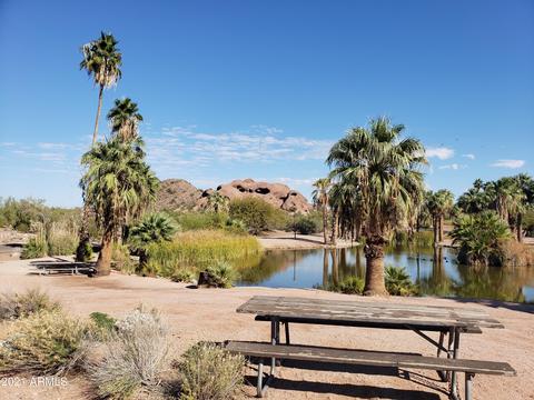 5430 E Cambridge Ave, Phoenix, AZ 85008 photo 19