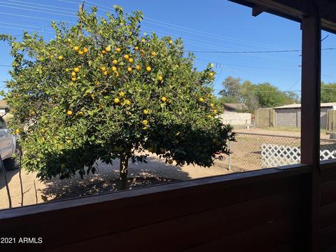 3406 E Oak St, Phoenix, AZ 85008 photo 20