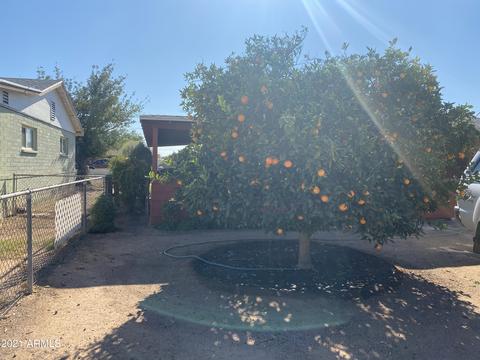 3406 E Oak St, Phoenix, AZ 85008 photo 25