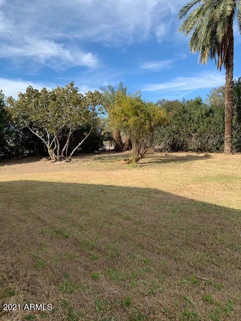 104 E Clanton Ave, Buckeye, AZ 85326 photo 15