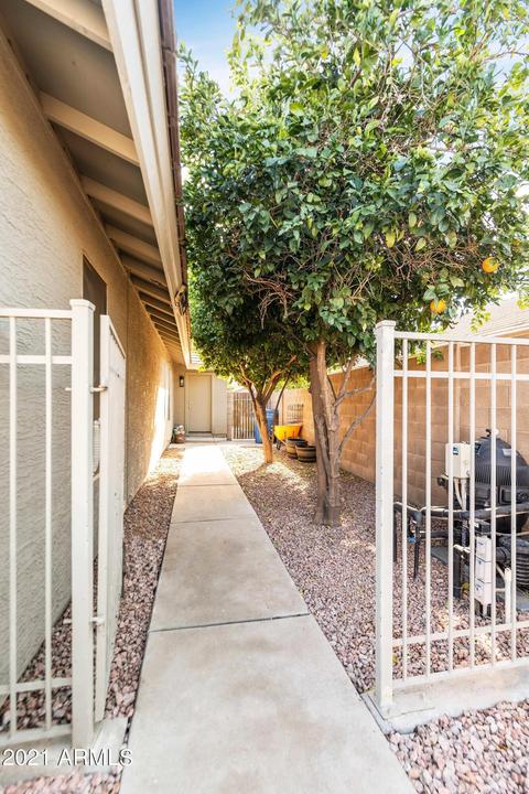 1162 E Constitution Dr, Gilbert, AZ 85296 photo 33