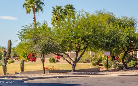11433 E Decatur St, Mesa, AZ 85207 photo 53