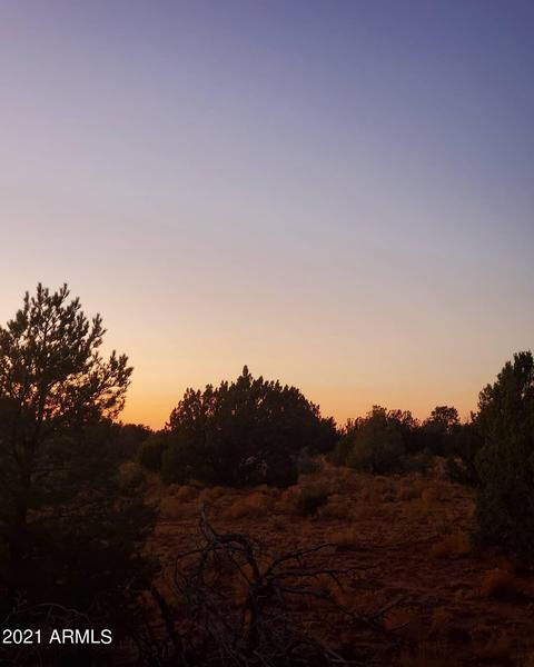 6410 Lasso Loop #-, Williams, AZ 86046 photo 5