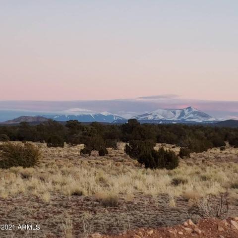 6410 Lasso Loop #-, Williams, AZ 86046 photo 7