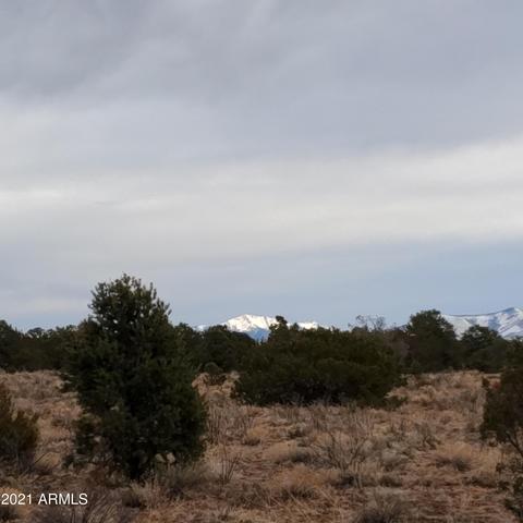 6410 Lasso Loop #-, Williams, AZ 86046 photo 1