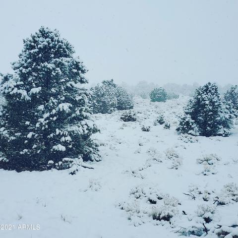6410 Lasso Loop #-, Williams, AZ 86046 photo 8