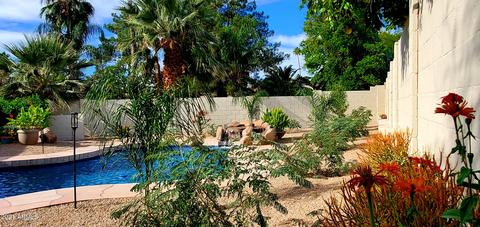 3442 E Morrow Dr, Phoenix, AZ 85050 photo 45