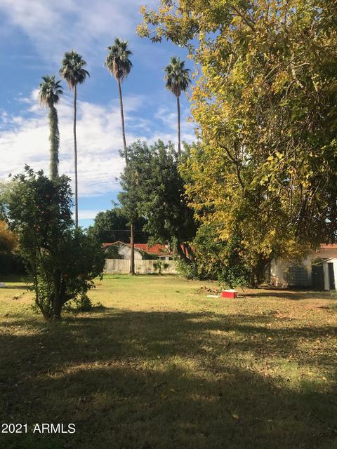 305 N Fraser Dr E, Mesa, AZ 85203 photo 50