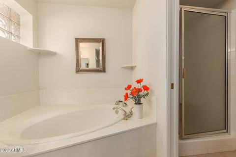 11514 E Monterey Ave, Mesa, AZ 85209 photo 25