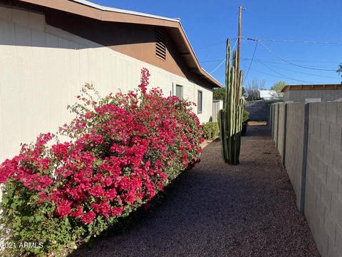 1017 S Delaware Dr, Apache Junction, AZ 85120 photo 3