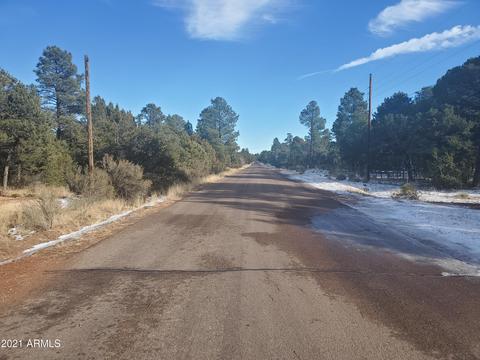 3046 Chevelon Rd, Overgaard, AZ 85933 photo 35