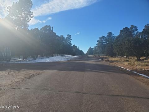 3046 Chevelon Rd, Overgaard, AZ 85933 photo 34