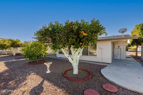 5848 E Dodge St, Mesa, AZ 85205 photo 25