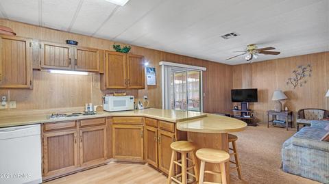 7442 E Iran Ct, Mesa, AZ 85209 photo 29