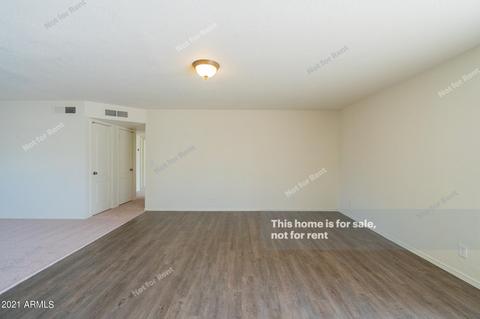 917 E Hampton Ave, Mesa, AZ 85204 photo 13