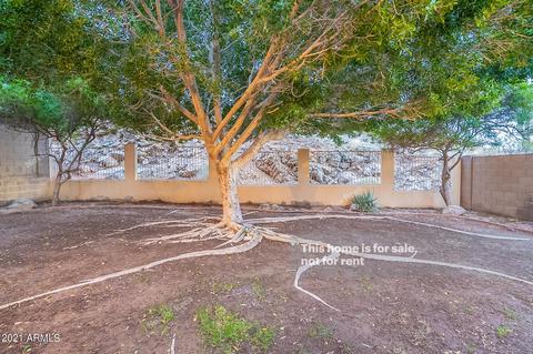 311 E Glenhaven Dr, Phoenix, AZ 85048 photo 21