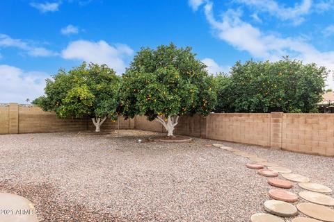 6025 E Adobe Rd, Mesa, AZ 85205 photo 25
