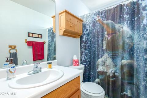 933 E Graham Ln, Apache Junction, AZ 85119 photo 25