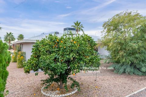 4708 E Carol Ave, Mesa, AZ 85206 photo 18