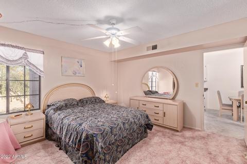 455 S Delaware Dr #138, Apache Junction, AZ 85120 photo 15