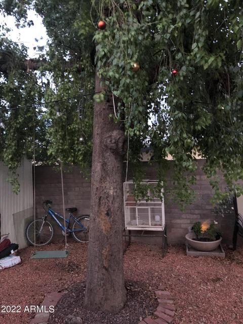 261 E 6th Ave, Mesa, AZ 85210 photo 16