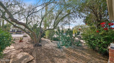 1926 E Brill St, Phoenix, AZ 85006 photo 29