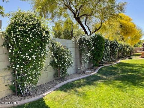 2560 E Vaughn Ct, Gilbert, AZ 85234 photo 57