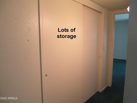 7939 E Lakeview Ave, Mesa, AZ 85209 photo 13
