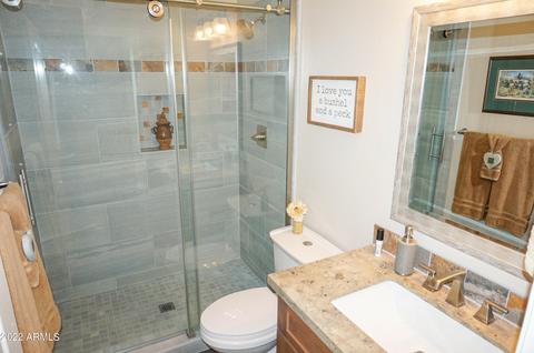 4529 Enrose St, Mesa, AZ 85205 photo 54