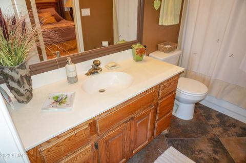 4529 Enrose St, Mesa, AZ 85205 photo 45