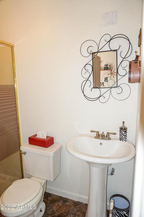 4529 Enrose St, Mesa, AZ 85205 photo 59
