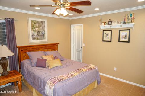 4529 Enrose St, Mesa, AZ 85205 photo 41