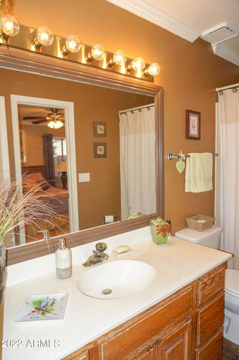 4529 Enrose St, Mesa, AZ 85205 photo 46