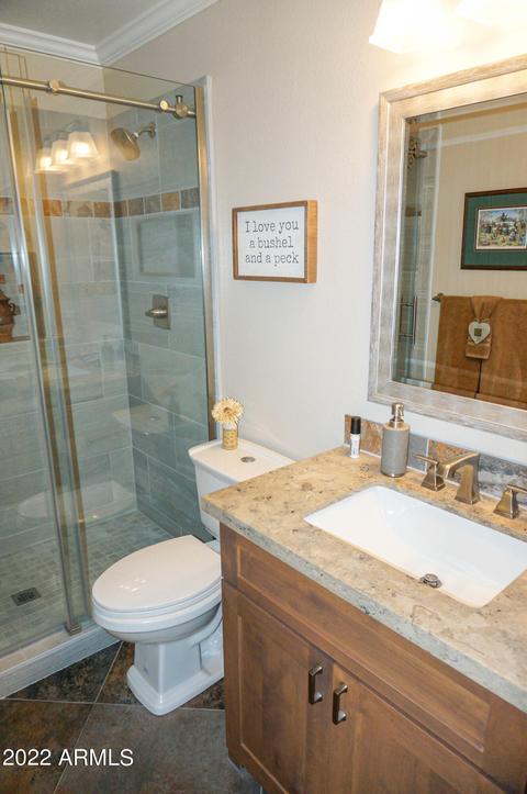 4529 Enrose St, Mesa, AZ 85205 photo 55
