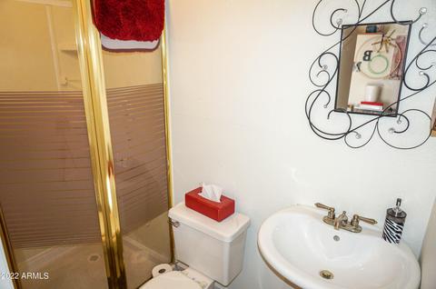 4529 Enrose St, Mesa, AZ 85205 photo 60