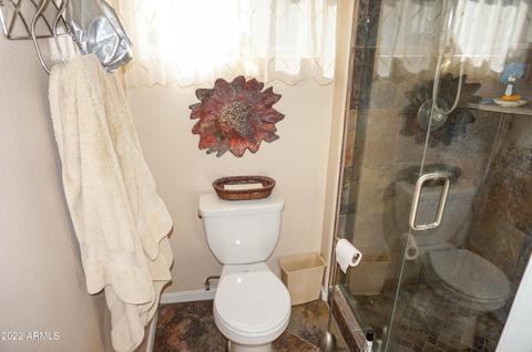 4529 Enrose St, Mesa, AZ 85205 photo 40